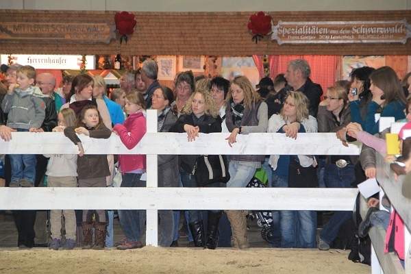 Pferd_Jagd   110.jpg